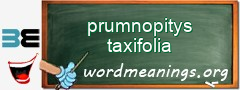 WordMeaning blackboard for prumnopitys taxifolia